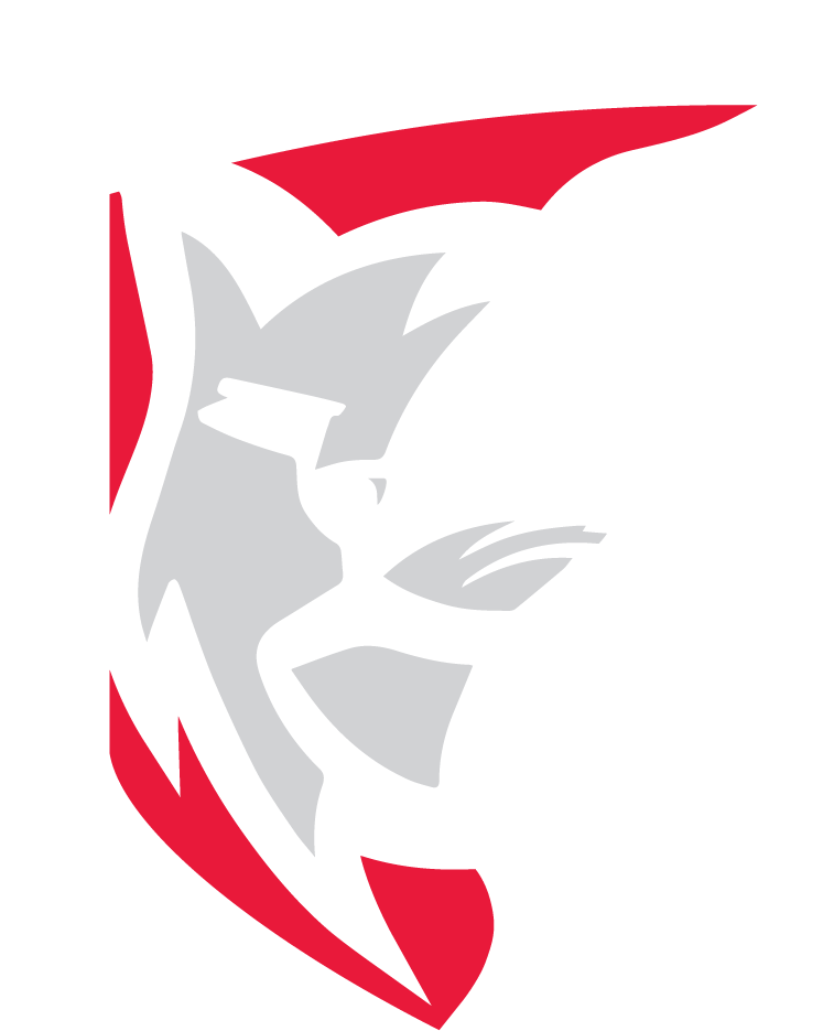 Lynx e-Sports #2